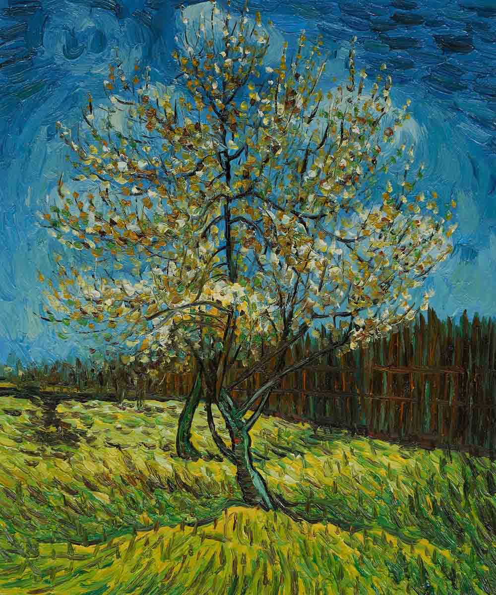 Pink Peach Tree - Van Gogh Painting On Canvas